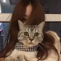 头像女抱猫咪网红女生抱猫咪可爱头像