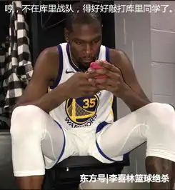 库里头像猴子系列独臂