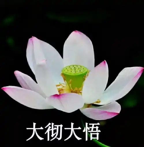 搞笑段子清华大学的通知书,来自老天爷的肯定