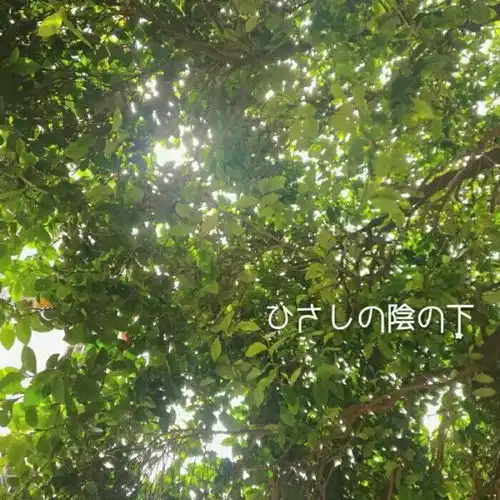 安奈ins风治愈系背景图等到苦风景静物头像我要个性网