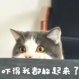 马上要开学啦,暑假作业写完了吗