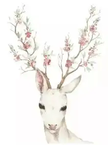 今天,泰州这个地方被朋友圈刷爆,央视专门给了8分钟时间向全球直播......