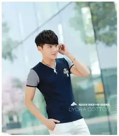 心鸟本色2014夏装新款短袖t恤男韩版潮男v领打底衫半袖体恤男士小衫st7811