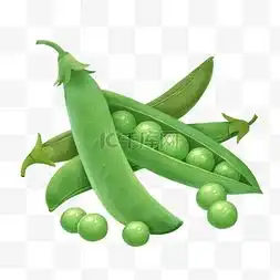 手捧豌豆图片手捧豌豆图片素材免费下载千库网
