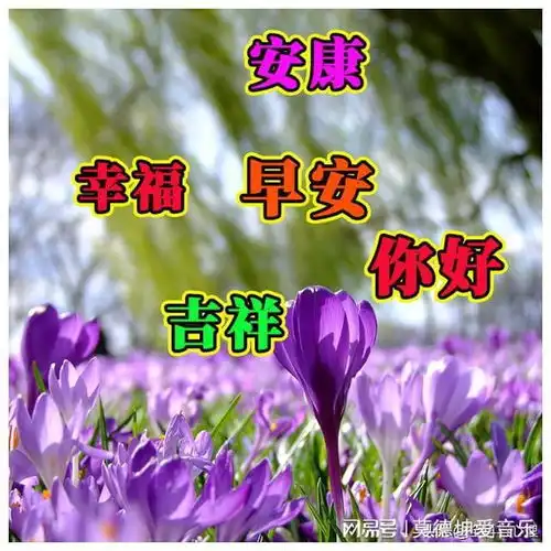 人有温暖,缘有深情,相互牵挂