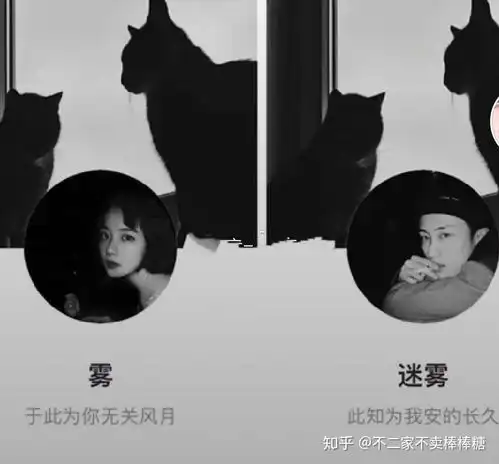 有哪些好听的情侣名称