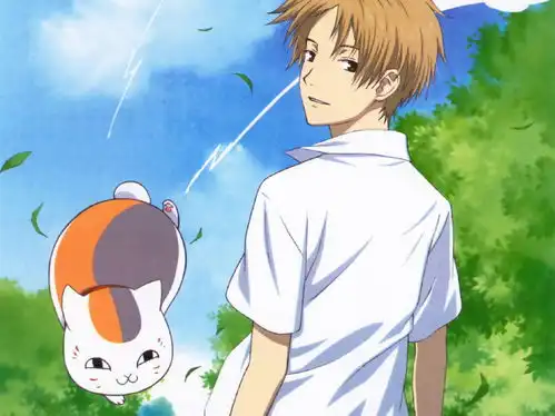 笑着流泪这些经典治愈系动漫你都看过吗