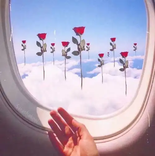 温柔小众文案,一眼沦陷的宝藏仙句