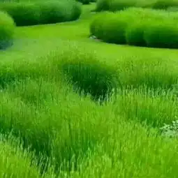 东北小哥照片东北小哥相册大全yy官方