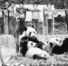 人民日报-人民网