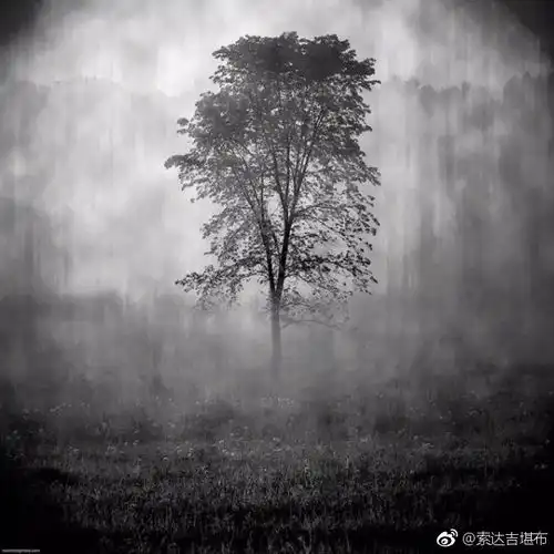 今日上师教言