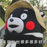 熊本熊卖萌系列表情包吃货的爱情观