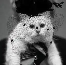 不舍时尚老佛爷香奈儿fendi联手620巴黎大皇宫办纪念会