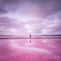 大自然的少女心,全澳粉红湖大盘点