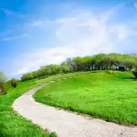 好看的绿色系自然风景图片头像微信头像图片大全