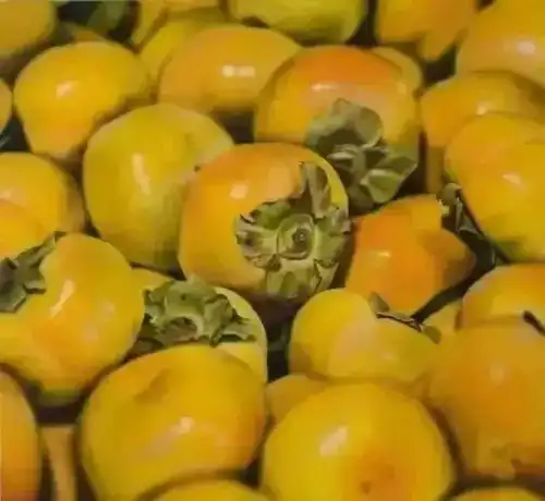 美术联考各科怎么提高,都需要注意哪些细节附评分标准