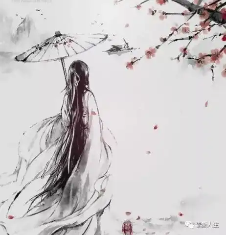 蝶舞回首记忆年