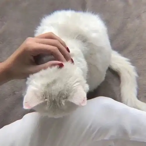 女生头像总有一些名字偷偷藏在修正带下