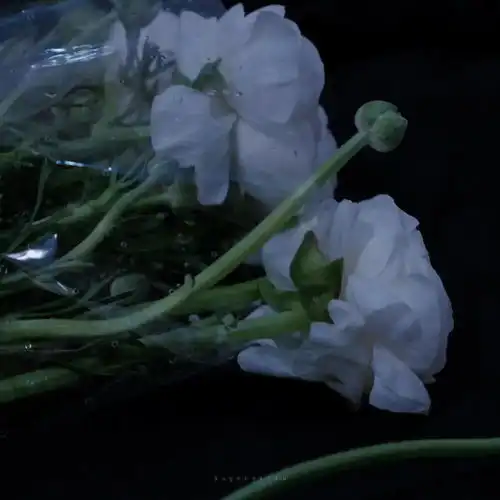 偷偷告诉你治愈系浪漫朋友圈背景图