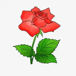 红玫瑰花一支玫瑰花插画图片素材其他格式下载动漫人物大全