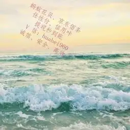 屏幕出现很多很多的白条为什么怎么处理