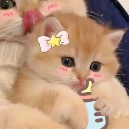 粉色系无水印女生头像精选