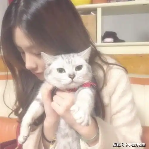 十二生肖生肖鼠,生肖牛,生肖虎,明日运势专业讲解,2021年3月31日