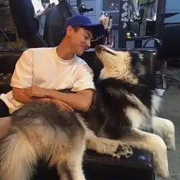 求原图,男生和一只阿拉斯加