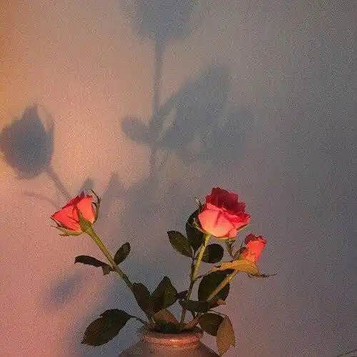 温暖至极的治愈系句子文案