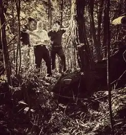 老瓷器为何如此珍贵,看完全明白了