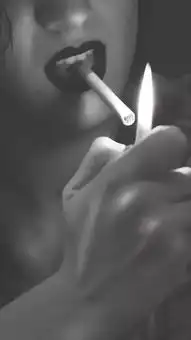 壁纸今天的好看壁纸已送达