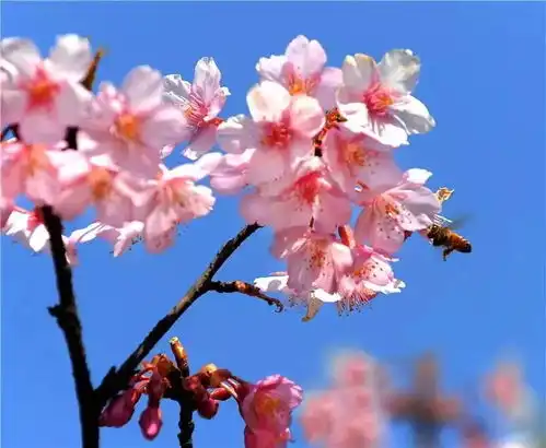 断崖式降温上海气温将暴跌10还好有好消息温暖我们