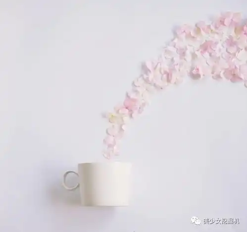 林小宅和灰灰这种少女系网红喝的水都是粉红色的