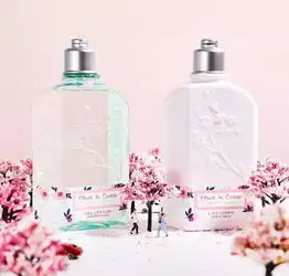 樱花限定来辽