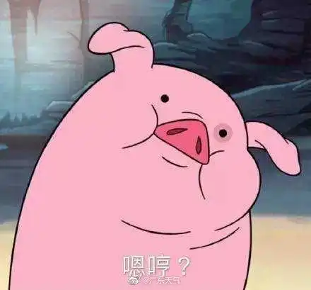 可爱呆萌猪卡通头像某个