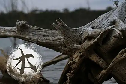 木命人适合戴什么饰品什么是木命人