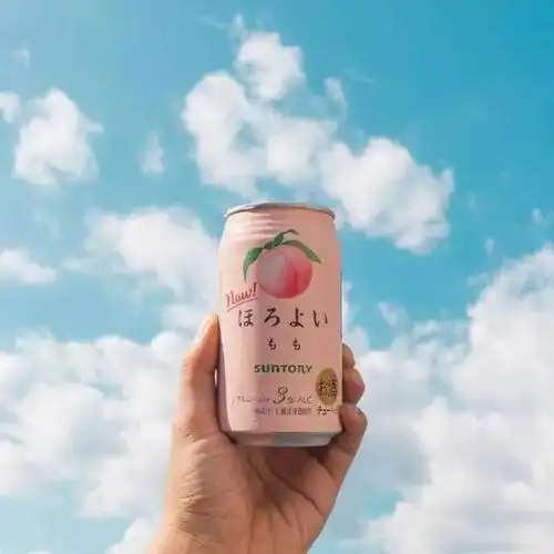 温柔干净的治愈系句子