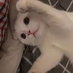 释梦沙龙回顾丨你的潜意识在告诉你什么