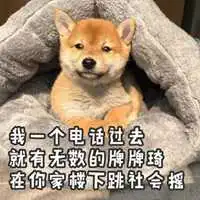 小奶狗头像男超萌小奶狗可爱头像