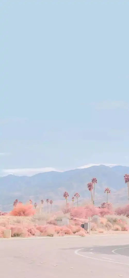 珍藏许久的治愈系壁纸