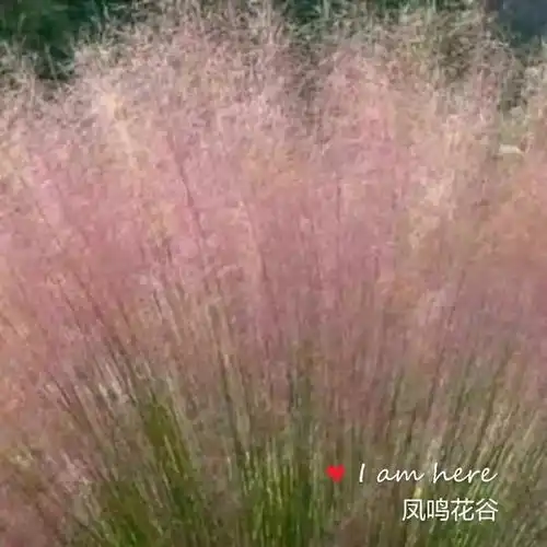 秋冬养护,你不得不知道的三件事
