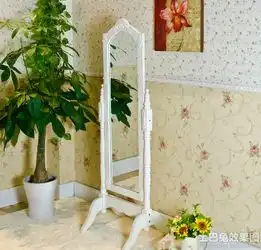 穿衣镜图片大全