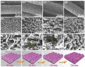 复旦吴仁兵adv.energymater.ldh前驱体定向转化助力高效全分解水性能