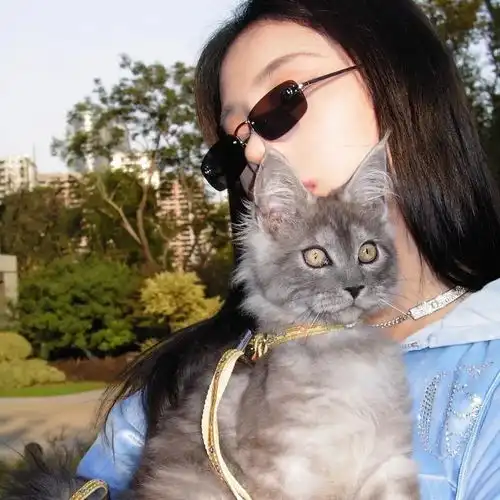 这是一期女头和风景背景图的组合