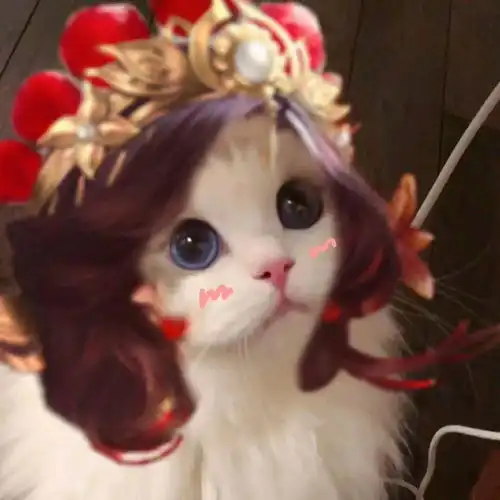 猫系女孩头像真人童话世界