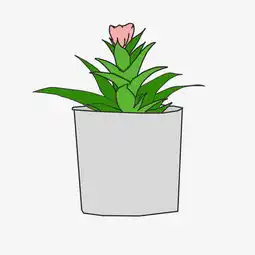 绿植鸿运当头盆栽插画图片素材其他格式下载动漫人物大全