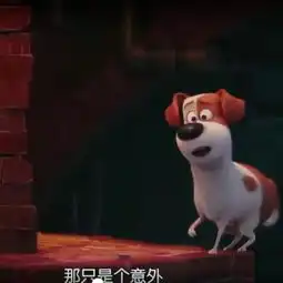 爱宠大机密丽颖微博头像小兔子各种照,这些剧情记得真爱粉么