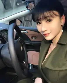 易车网佛山市顺协