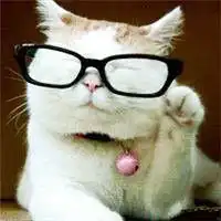 一只戴眼镜的猫的头像微信头像图片大全