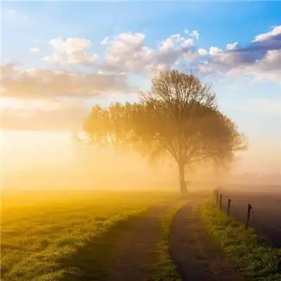 治愈系头像风景唯美童话